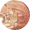 Lipids